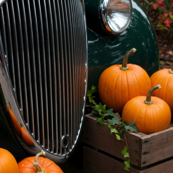 Pumpkin Run Nationals 2026